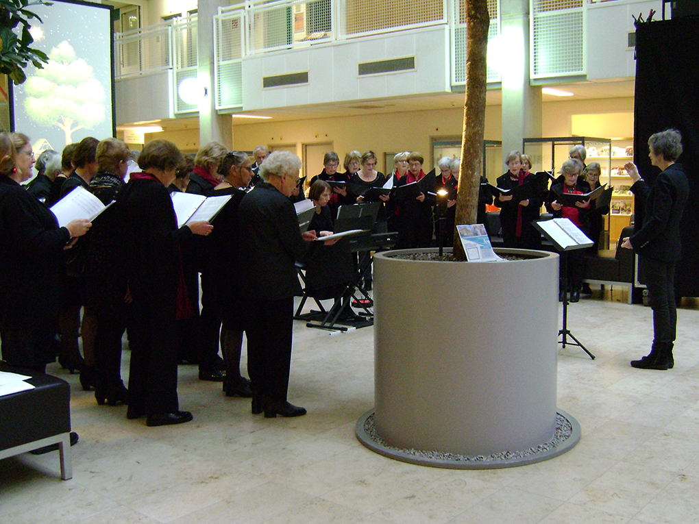  Optreden Amphia Kerst 2018. 